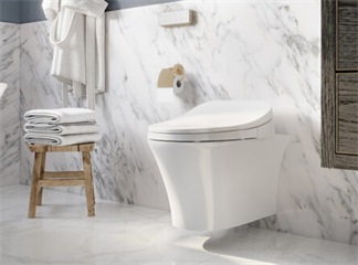  Electronic Bidet Seat