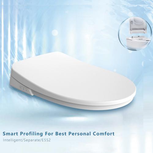 Electronic Smart Bidet with inwall cistern