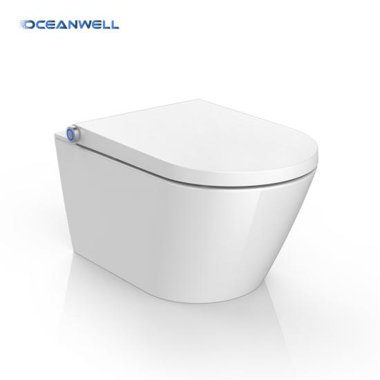 All-In-One smart toilet