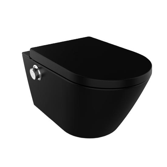 bidet toilet seat Cabinet cistern