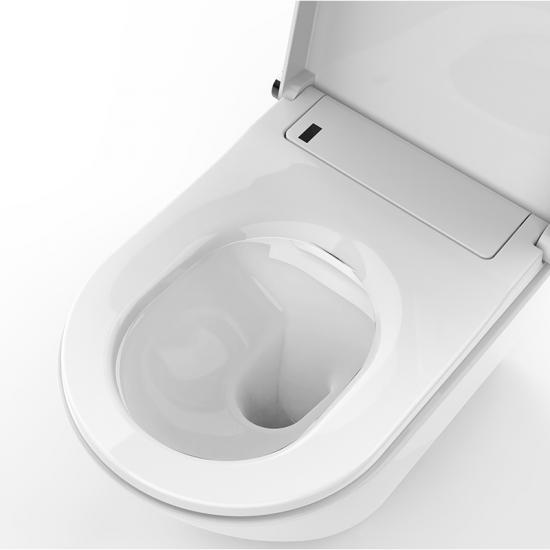 Electric bidet seat douche WC