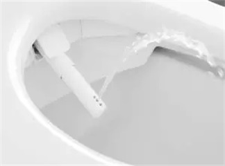 4 motivos para parar de usar papel higiênico e como não usá-lo
