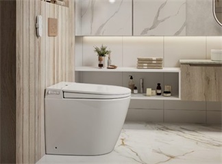 Banheiros inteligentes ecológicos: reduza o desperdício de papel higiênico e água
