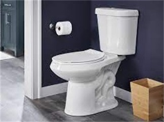 Assentos sanitários podem causar infecções: saiba o que você pode pegar no banheiro
    