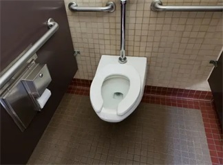 Razões pelas quais alguns banheiros públicos usam anéis de assento em forma de U