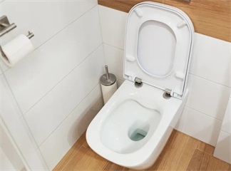 Os assentos sanitários removíveis são o segredo para realmente limpar os banheiros?